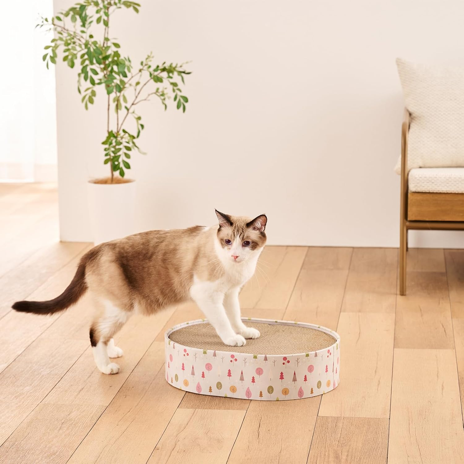 Cat Tree Cat Cat Forest