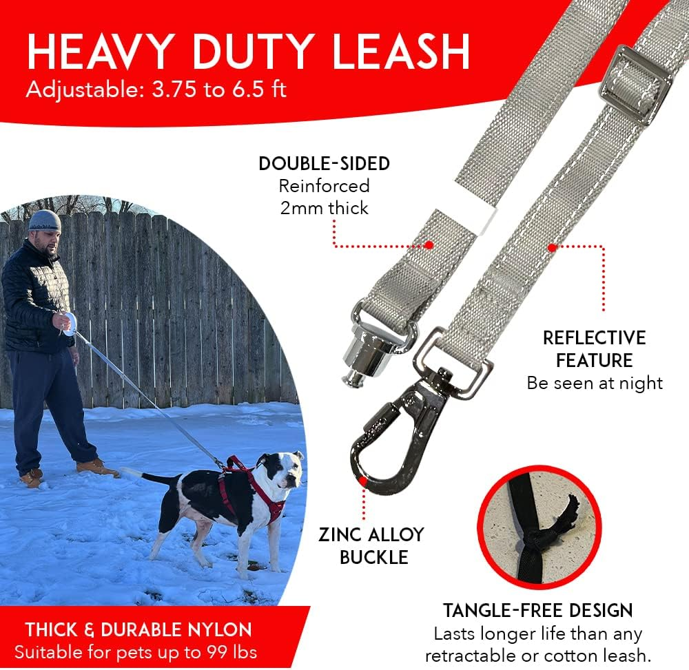 Non Retractable Leash with Flashlight, LED Light, Built-In Poop Bag Compartment &ndash;Walking Leash 360&deg; Hands Free, Anti-Slip Handle for Small, Medium & Large Dogs &ndash; Tangle Free Heavy Duty Reflective image number 1