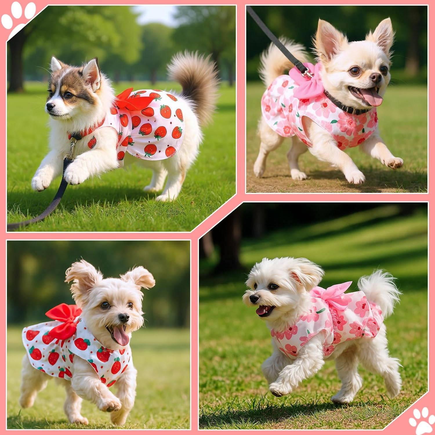 Telooco 2 Pcs Puppy Clothes for Small Dogs Girl Summer Bow Clothes for Dogs Printed Strawberry Small Dog Dresses for Chihuahua, Yorkshire Terrier Puppy and Kittens(Pink, Red) image number 4