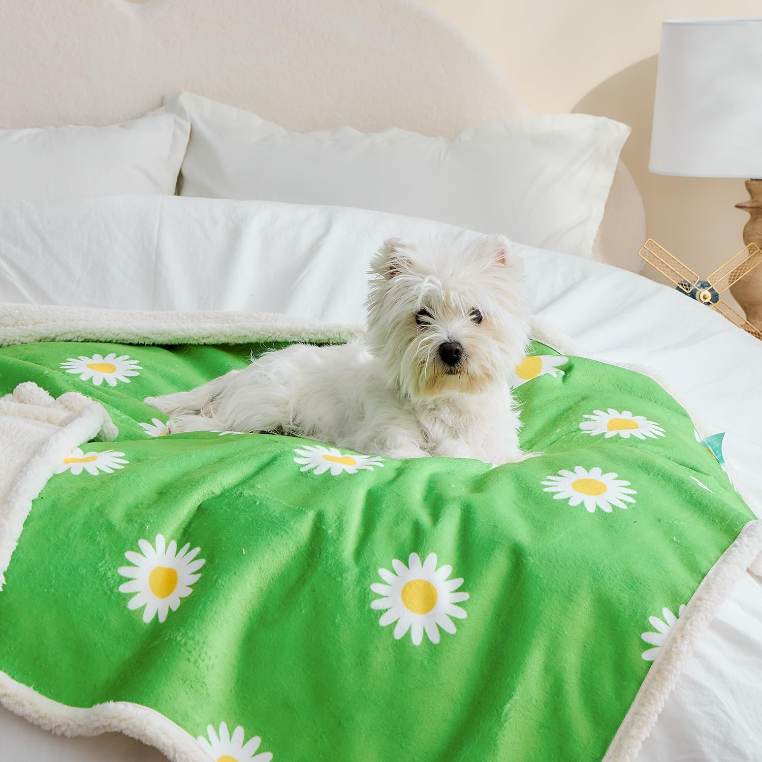 Qeils Dog Blankets for Large Dogs - Waterproof Pet Blanket Washable - Sherpa Fleece Puppy Blanket, Soft Plush Reversible Dog Blanket for Bed Couch Car Sofa, 50"X60", Grey Paw Print