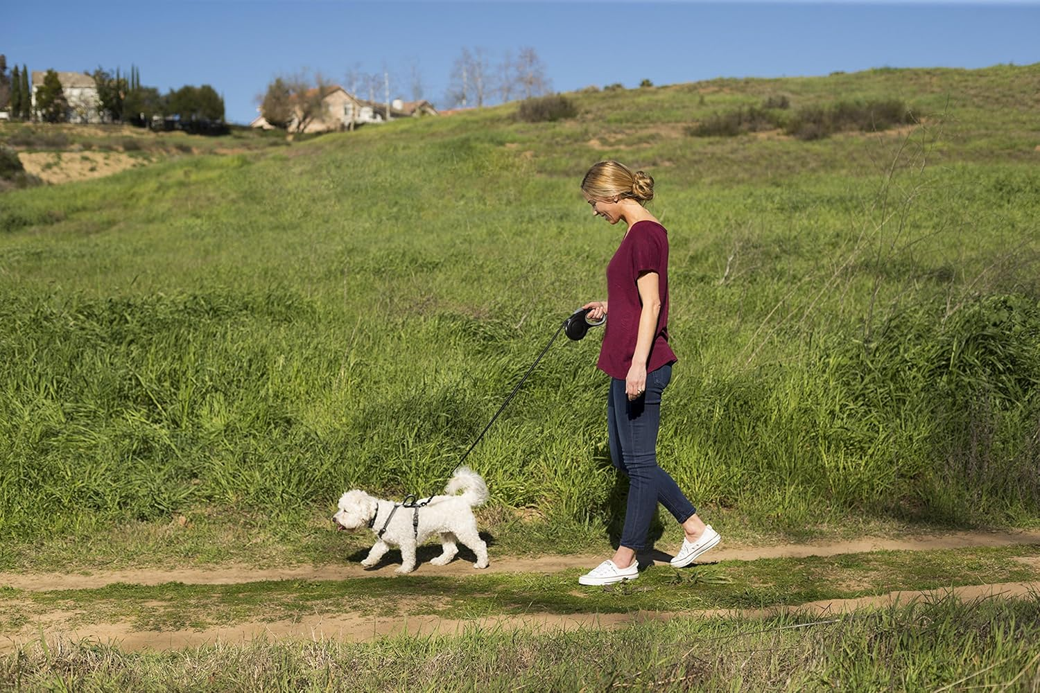 Company of Animals Halti Retractable Lead for Dogs, Medium, Black image number 5