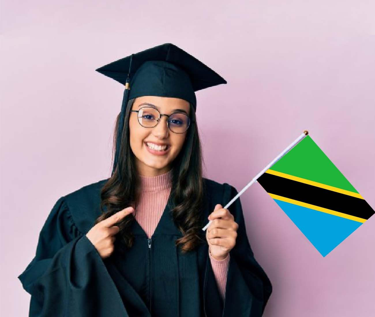 10 PCS Tanzania Handheld Small Flag, Tanzanians Hand Held Mini Decor Decoration Banner