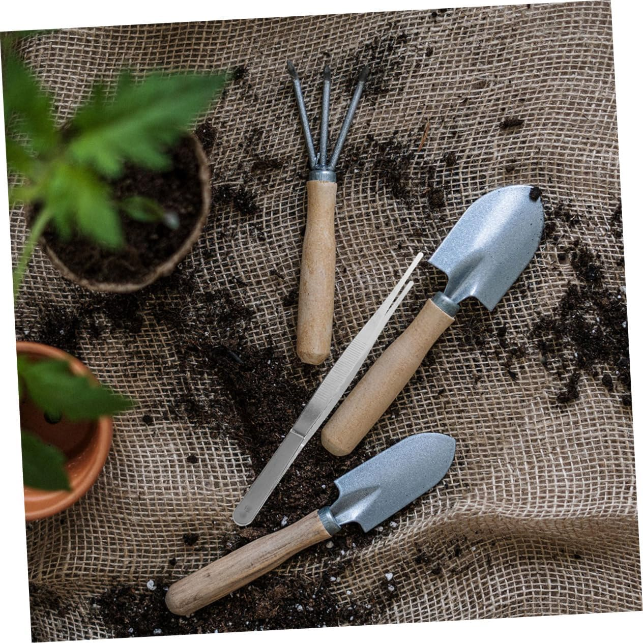 BESPORTBLE 10Pcs Gardening Tweezers Set 18Cm Long Gardening Plant Bonsai Tweezers Teeth Portable Craft for Garden Tools and Household Plant Care image number 4