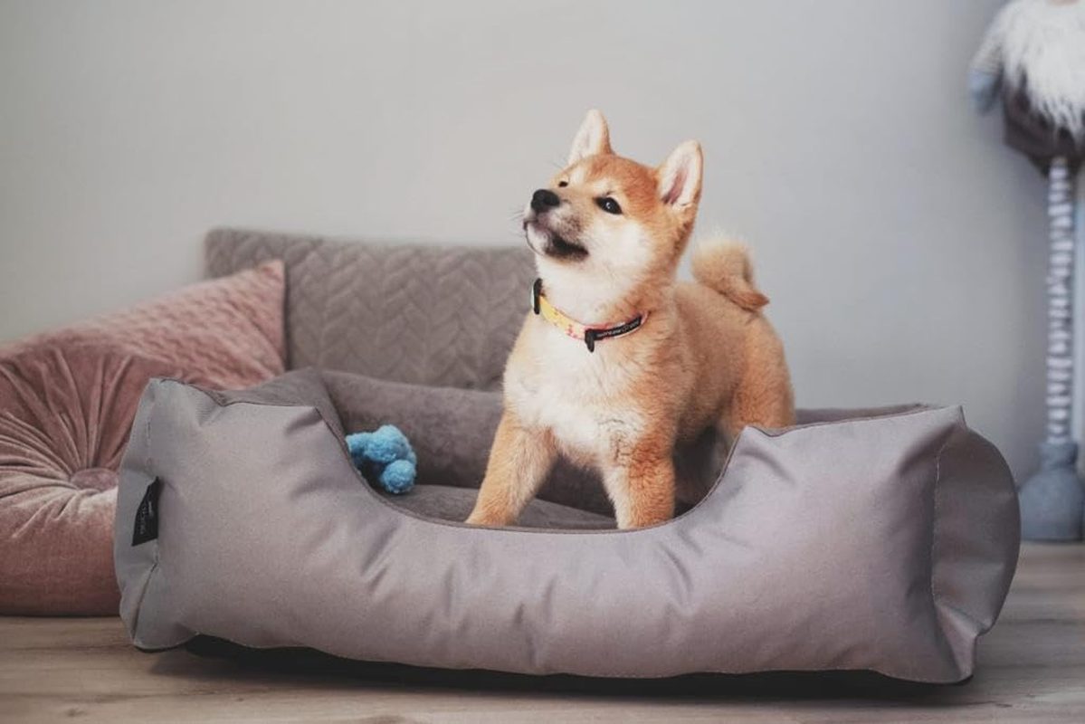 Beddog Lupi Dog Bed with Removable Washable Cover, Dog Basket, Dog Sofa for Medium Large Dogs, L, Black/Grey image number 5