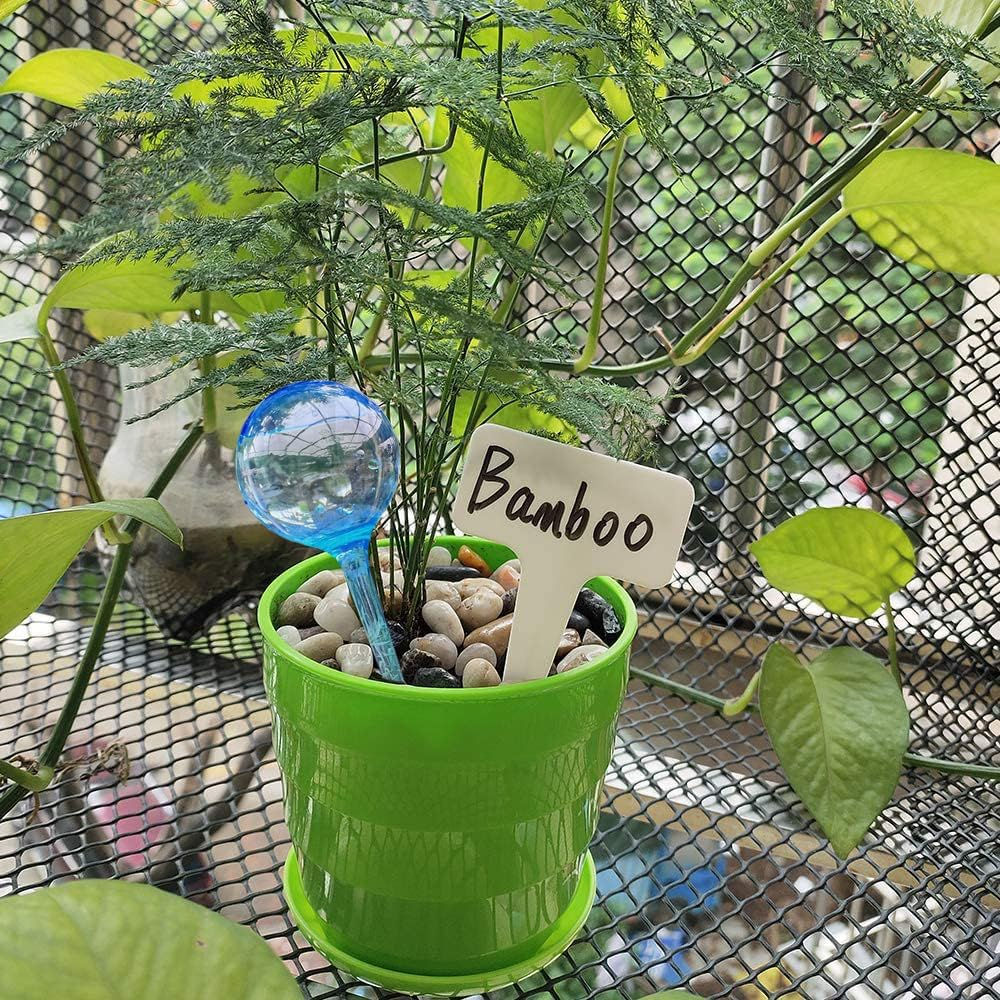 MOONSOUND Small Plant Watering Globes, 6Pcs Plastic Plant Watering Devices, Plant Waterer Self Watering Bulbs for Indoor Outdoor Plants image number 2