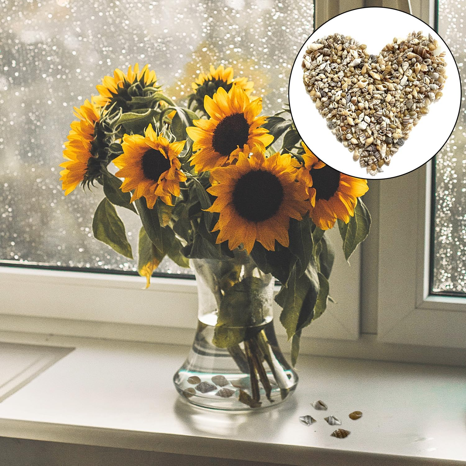 BEZANU Sea Shells, 500 PCS Mixed Spiral Seashells for Art Craft, Vase Filler, Home Decor, Fish Tank Accessories, Wedding Decor (Bulk) image number 1