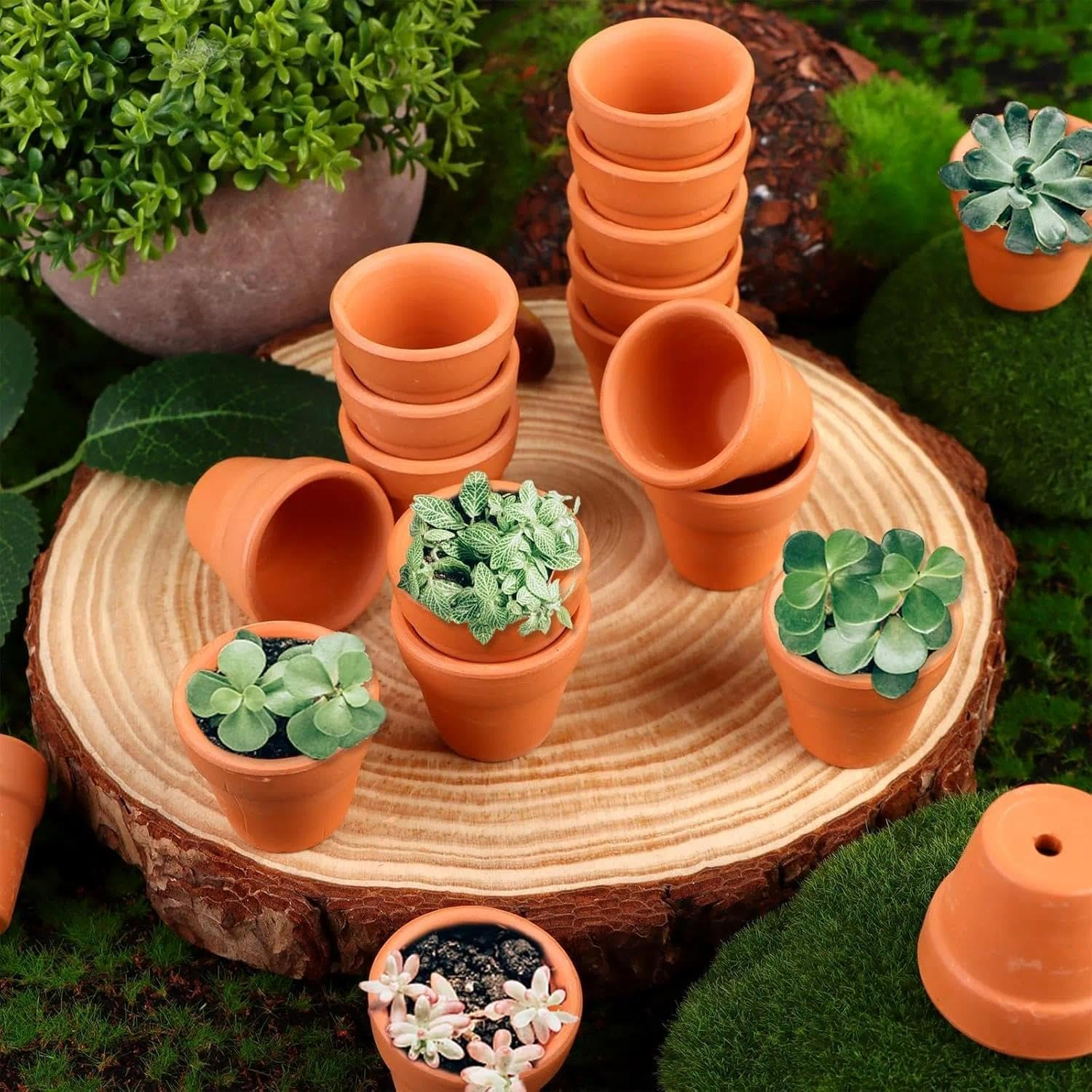 30 Pcs Mini Terracotta Pot for Plants, Succulent Planter with Drainage Holes, Clay Flower Pots for Indoor/Outdoor Garden, Small Planters for DIY Craft Projects, 3Cm &ndash; Unron image number 3