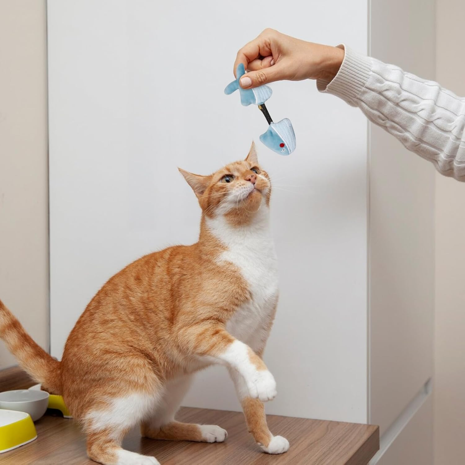 Andiker Silvervine Chew Sticks, 2 Pieces Cat Catnip Sticks with Silvervine Sticks for Indoor Cats, Natural Molar Stick Cat Toy for Cat Teeth Cleaning Chewing (Green + Blue)