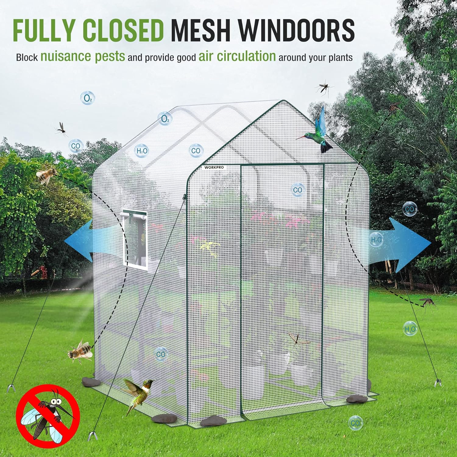 WORKPRO Greenhouse, 56&rdquo; X 56&rdquo; X 77&rdquo; Heavy Duty Walk in Greenhouses for Outdoors with Screen Windows, Thicken PE Cover, 3 Tier 8 Shelves Portable Green House Kit for Patio, Backyard and Porch image number 4