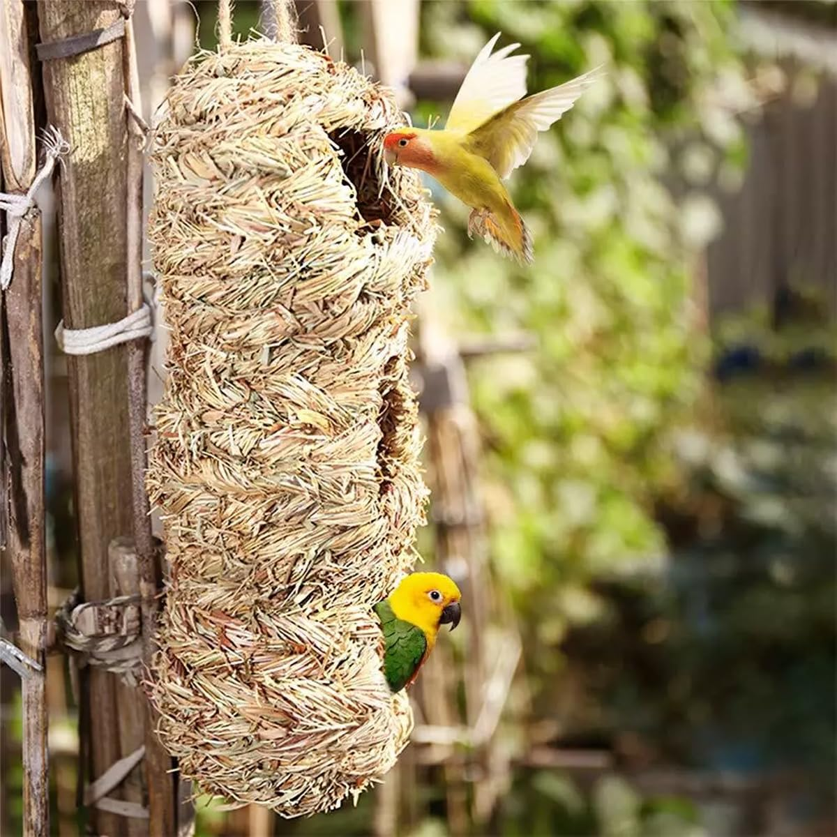 AIMALL Handwoven Hanging Hummingbird House 3.9X11.4 Inch Natural Hay Peanut Shape Bird Nest for Outdoor Garden Tree Porch Decor Shelter for Small Birds image number 5