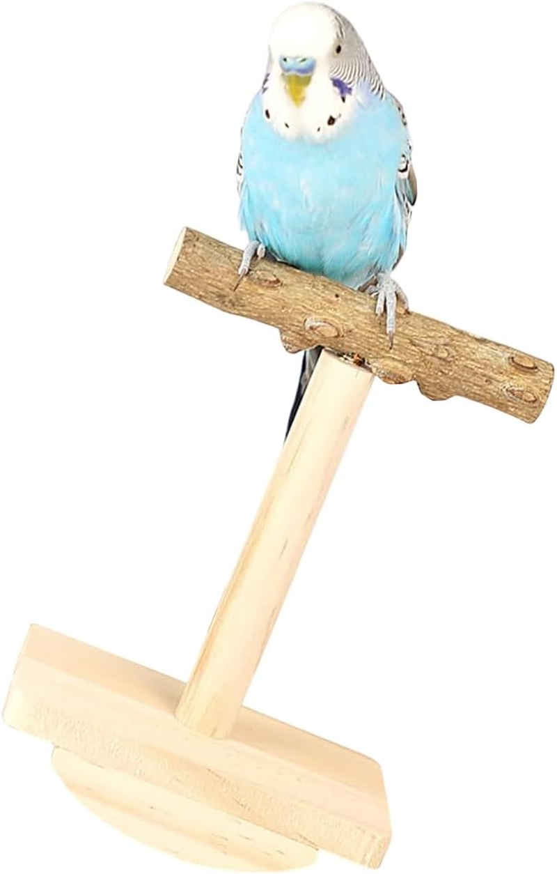 AIMALL Parrot Zanthoxylum Wooden Bird Platform Rack Grinding Claw Stick Natural Wood Perch Shake Music Toy Durable 4.72In X 3.14In X 5.51In for Xuanfeng Tiger Skin Peony Budgie Cockatiel Rest Play Bit image number 6
