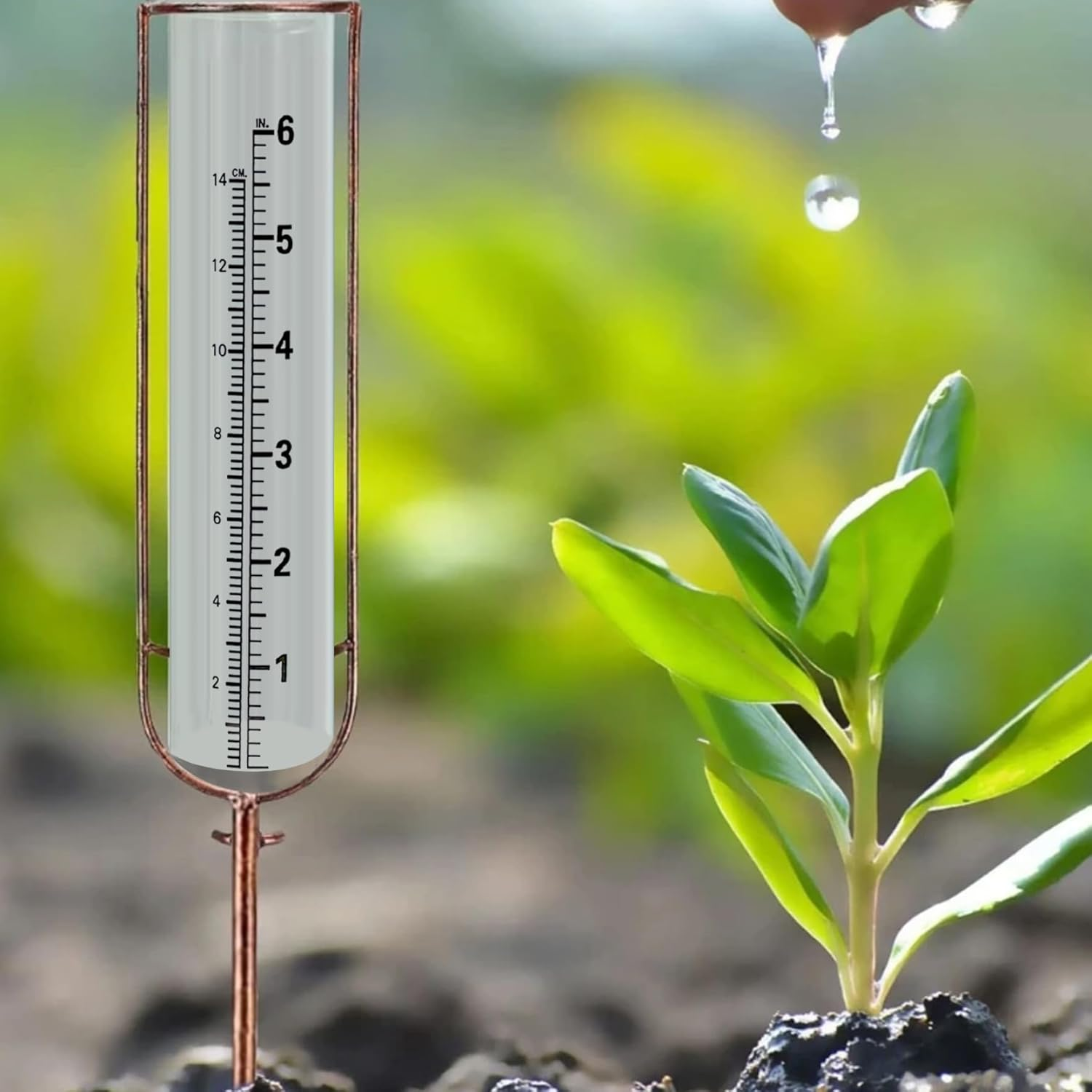 Rain Gauge Outdoor with Scale, 7.5" Scratch Proof Weather-Resistant Clear Glass Rain Gauge Replacement Tube for Yard, Garden, Patio- image number 3