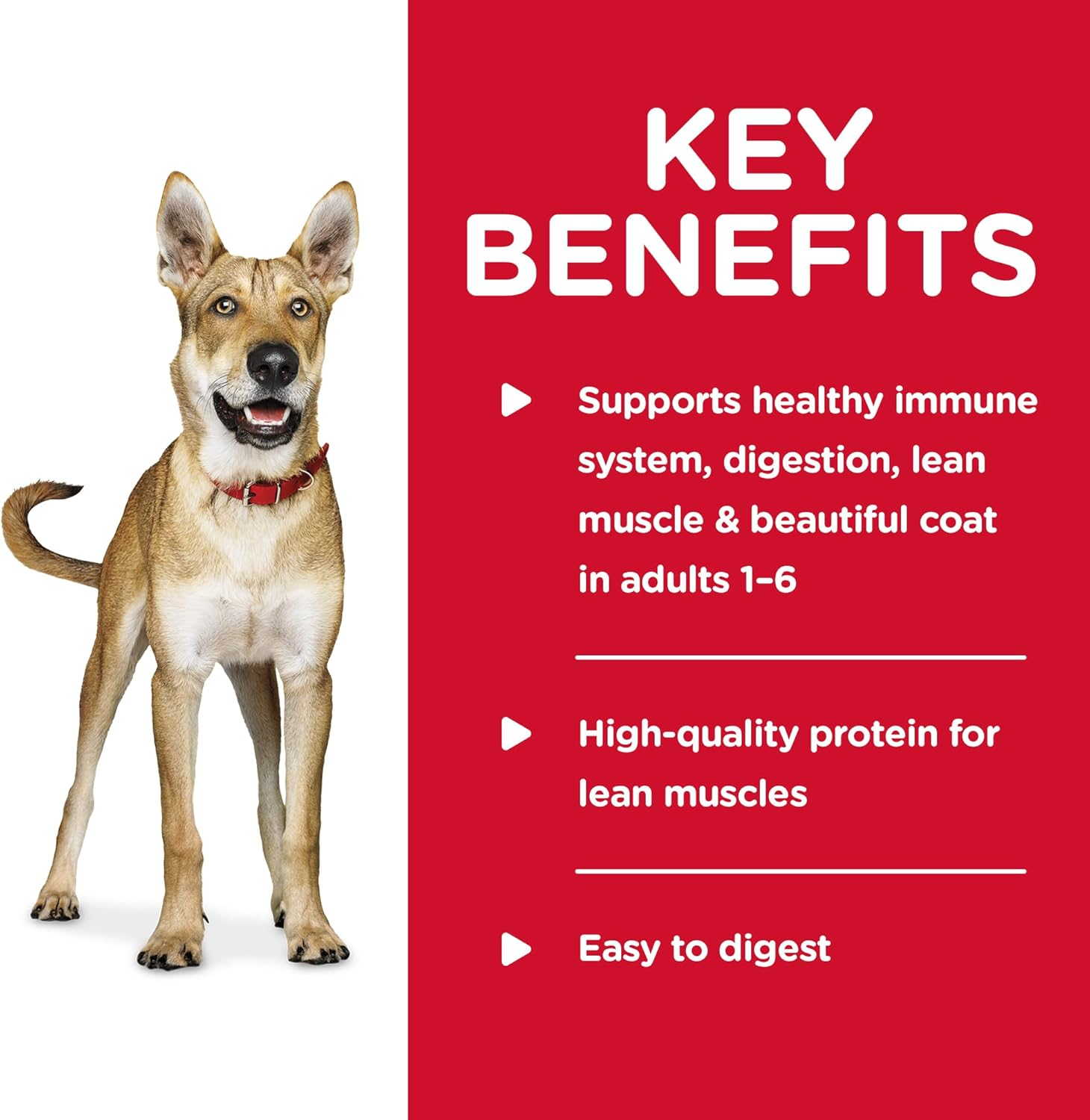 Hill'S Science Diet Adult Sensitive Stomach & Skin with Chicken & Vegetables Canned Dog Food 12X370G image number 6