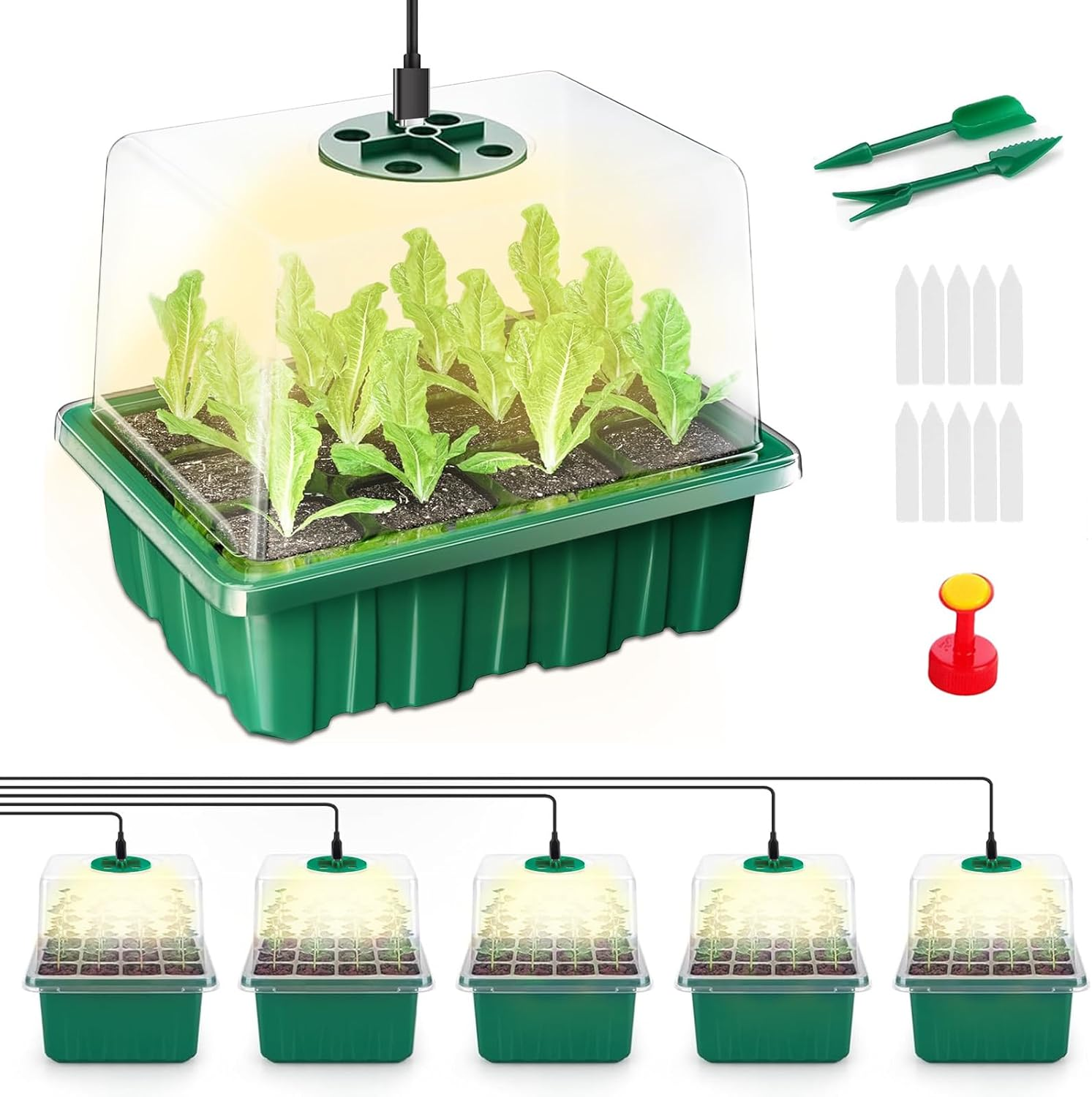 Bonlux 5 Packs Seed Starter Tray with Plant Light, Elevated Seedling Starter Trays Kits with Adjustable Humidity Domes and Clear Cell Tray, 4 Full Spectrum Led Lamp Beads for Plants Indoor-Green
