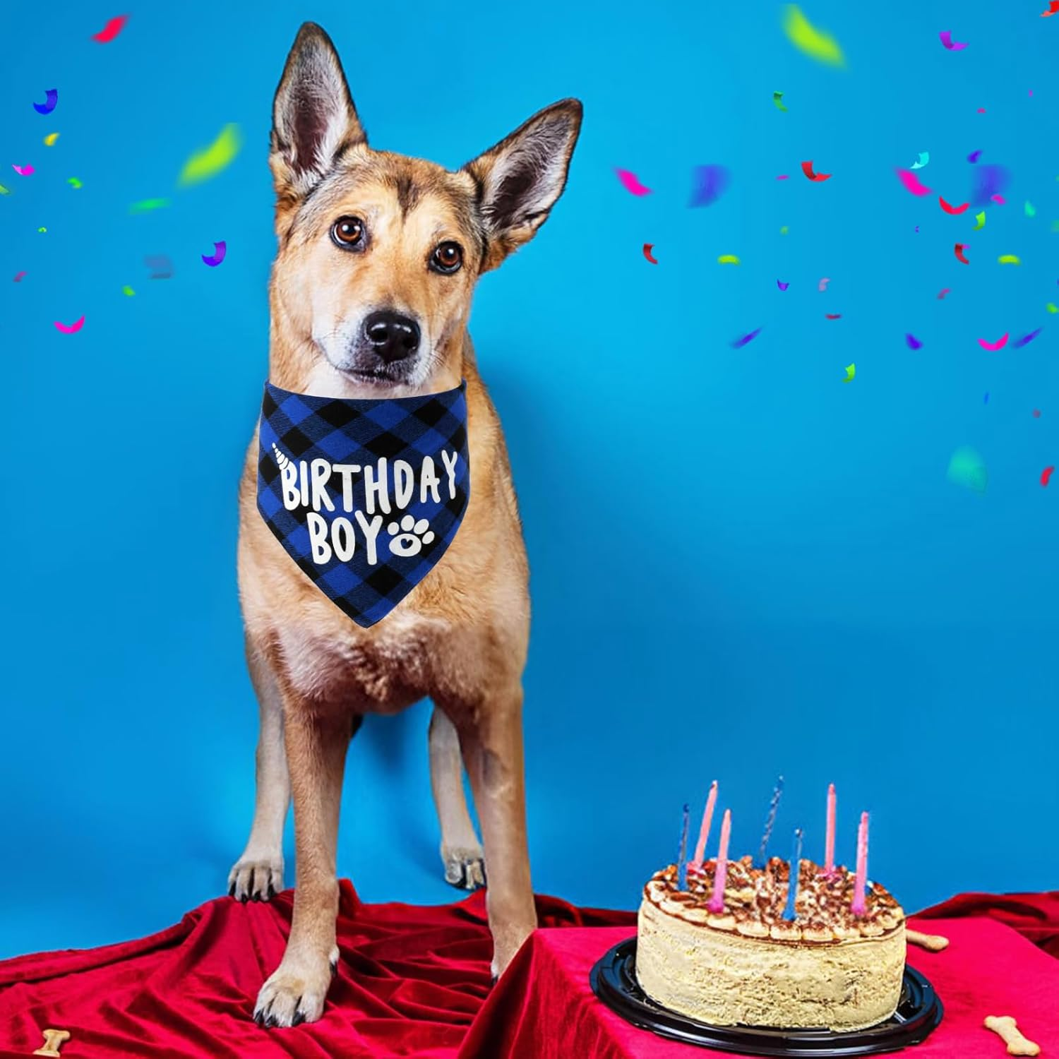 Oruola Birthday Dog Bandana,Birthday Boy Dog Bandana,Dog Birthday Decorations,Long 71Cm/27.95In Triangle Bibs for Multi Sizes Dog,Birthday Boy Bandana for Small Medium Large Dogs Pets Blue Black