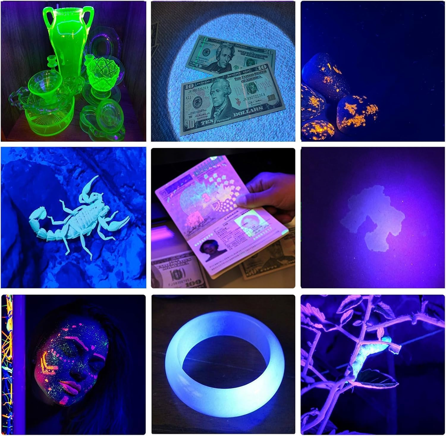 UV Black Light Torch, Handheld Blacklight Ultraviolet Flashlight 395Nm, Pet Urine Stain Detector Portable UV Torches LED Black Light Mini Flashlights Detector with Clip (AA Battey Not Included) image number 2