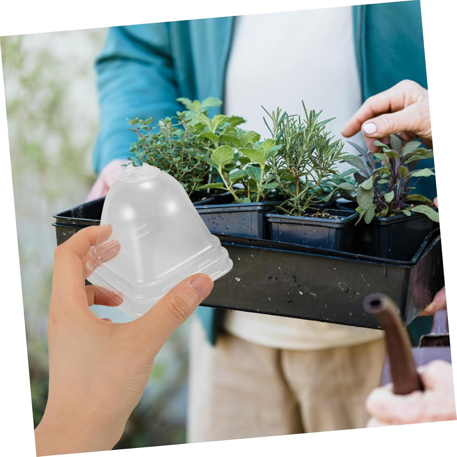 BCOATH 6Pcs Winter Plant Covers Frost Covers for Outdoor Garden Supply Bird and Creature Protection image number 2