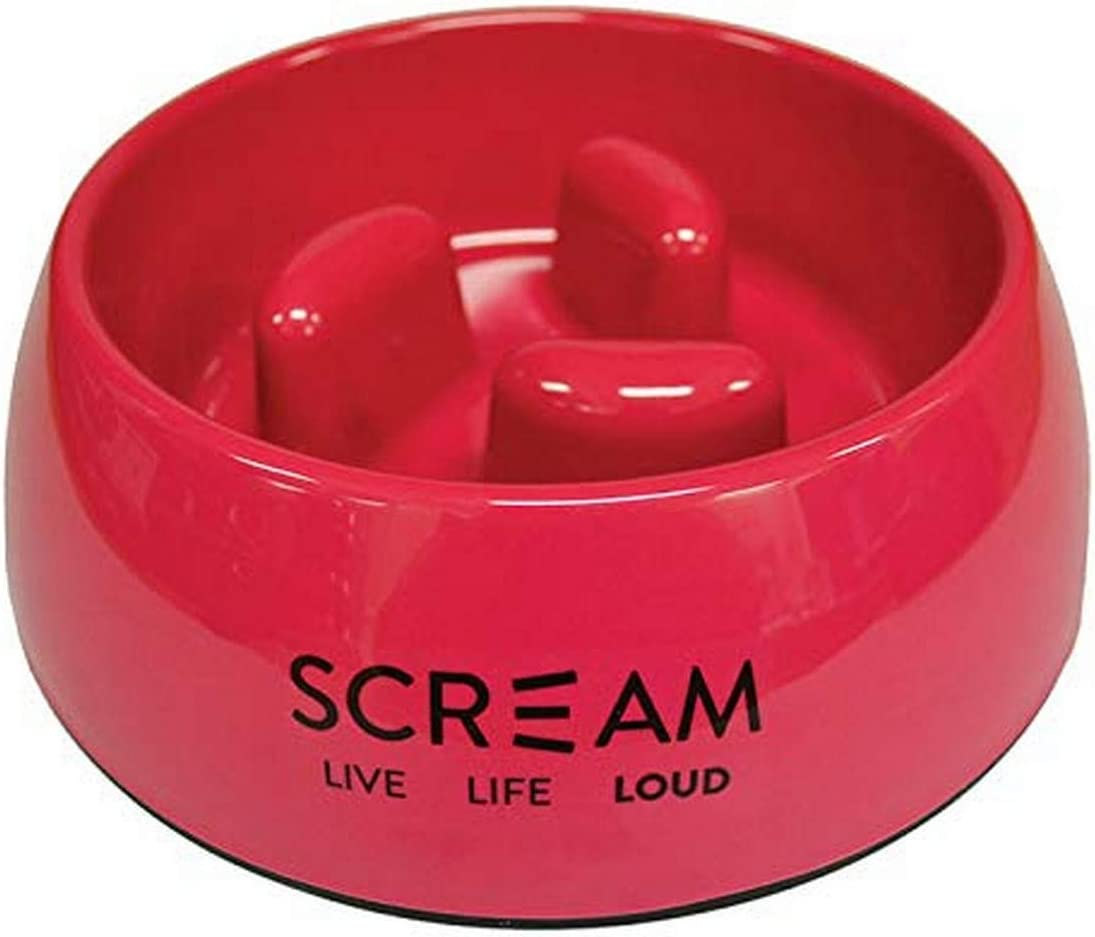 SCREAM 49-SB04070 Slow Bowl, Loud Blue, 750Ml