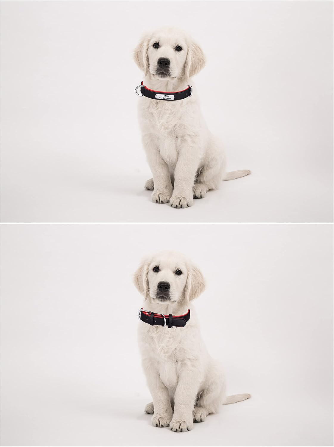 THAIN Personalized Dog Collars Microfiber Leather with Free Engraved Dog Collars with Personalized Stainless Steel Nameplate (Xl(Neck 18.1"-22"), Black) image number 2