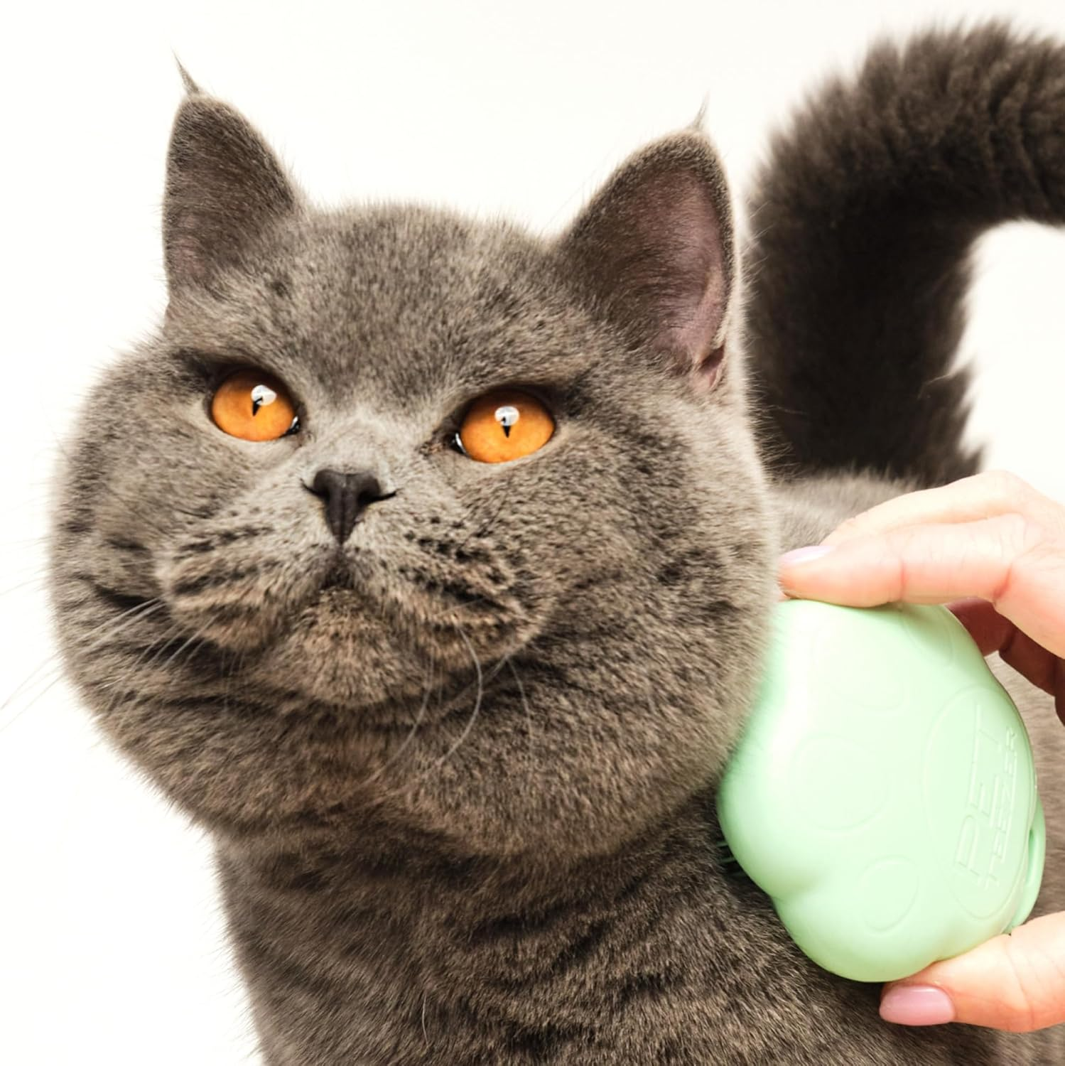 Tangle Teezer | Pet Teezer | Cat Grooming Brush | Short, Medium Hair | Soft Bristles to Detangle Knots | Green