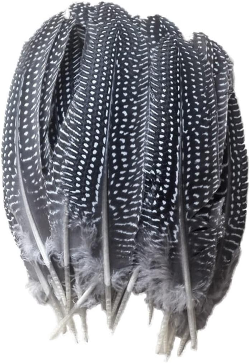 Operitacx 50Pcs Pheasant Feathers Party Decor Natural Feathers Decorate Fan Pearl image number 5