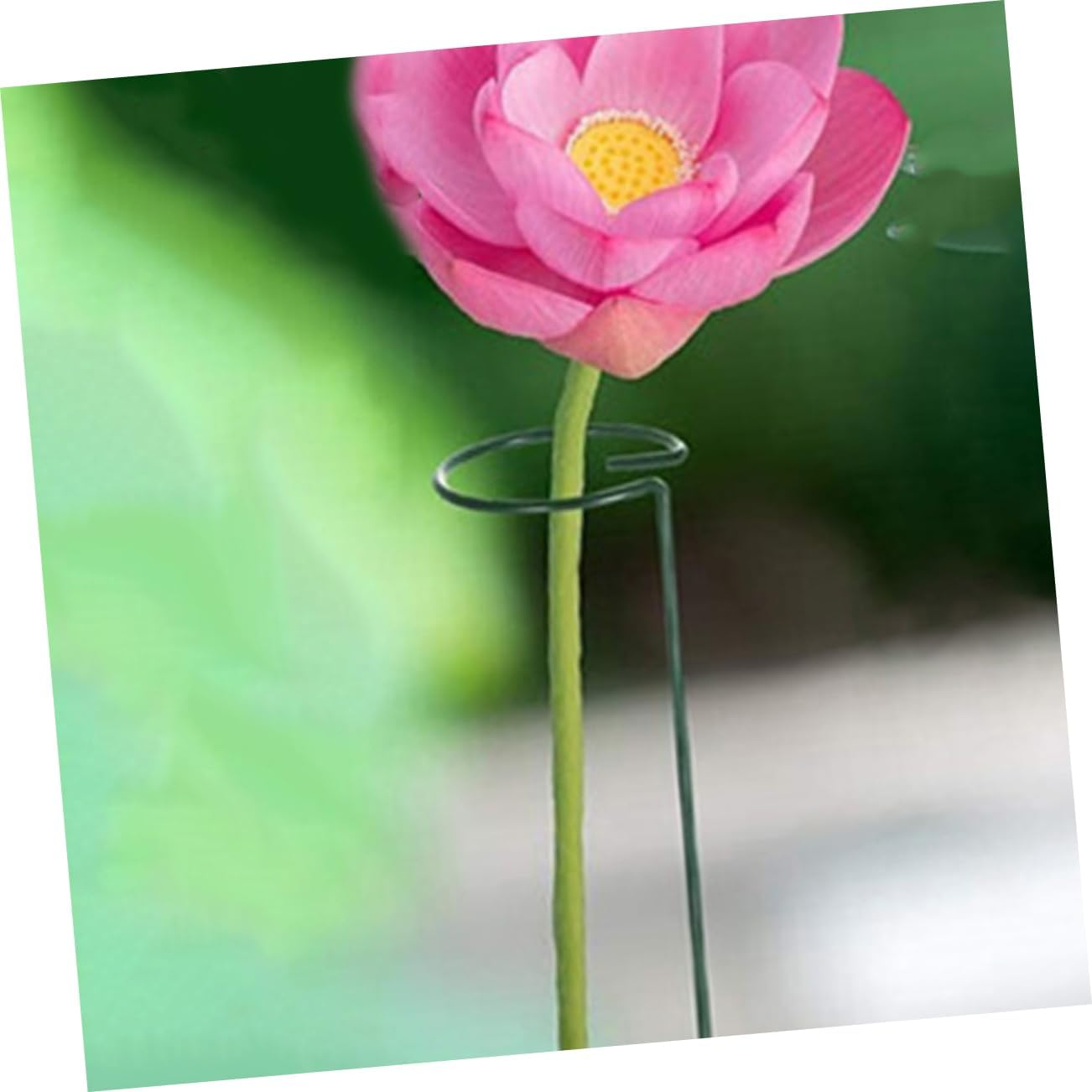 PHENOFICE 12Pcs Indoor Plant Stakes for Potted Plants Support Stakes Trellis Indoor Climbing Trellis Netting Garden Supply Accessories image number 4