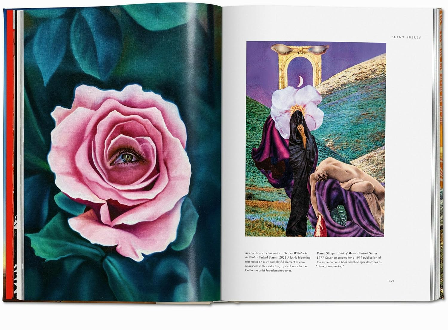 Plant Magick image number 3