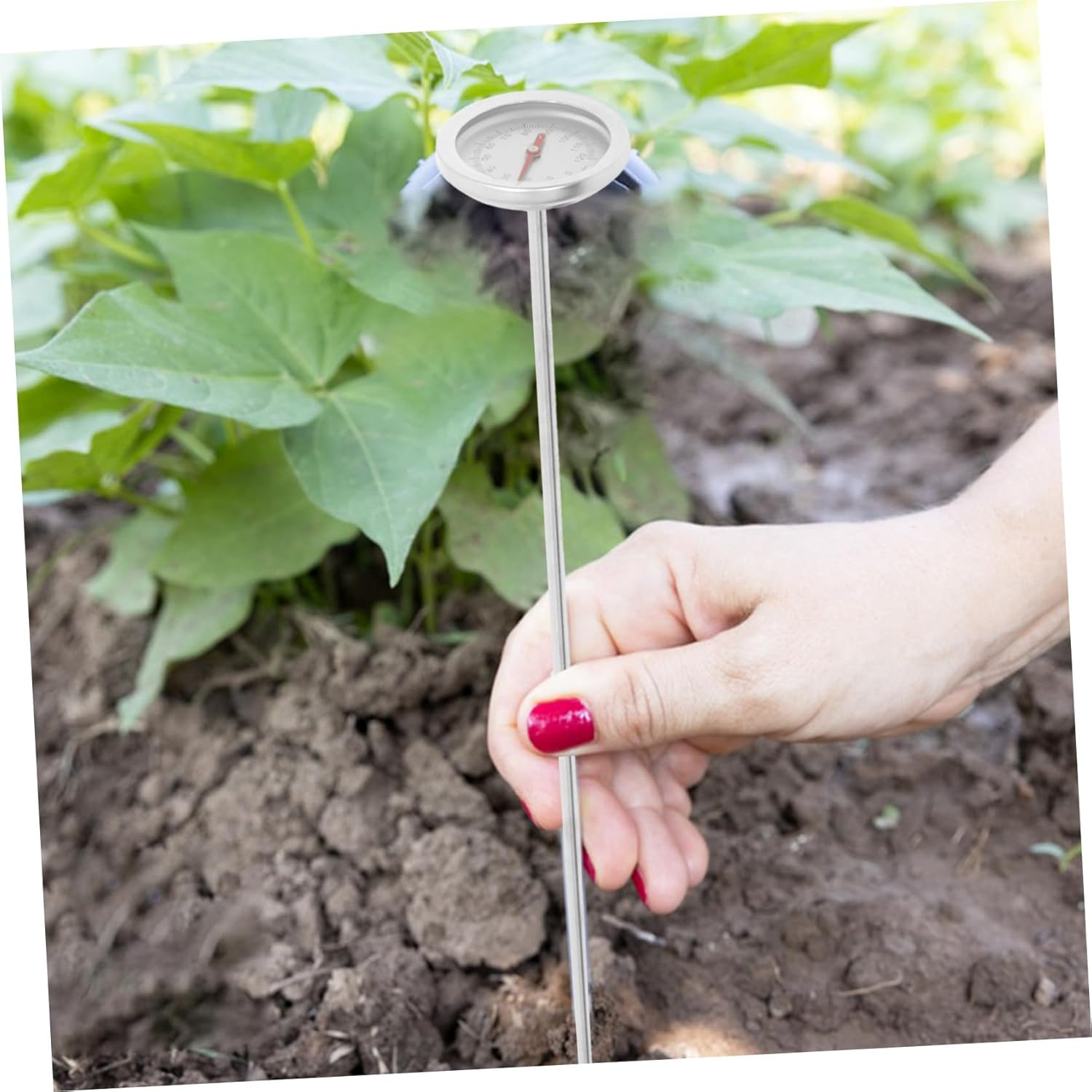 CLISPEED Compost Thermometer Soil Temperature Gauge Stainless Steel Probe for Gardening and Backyard Use Portable Metal Soil Temperature Measuring Tool Outdoor Reusable image number 5