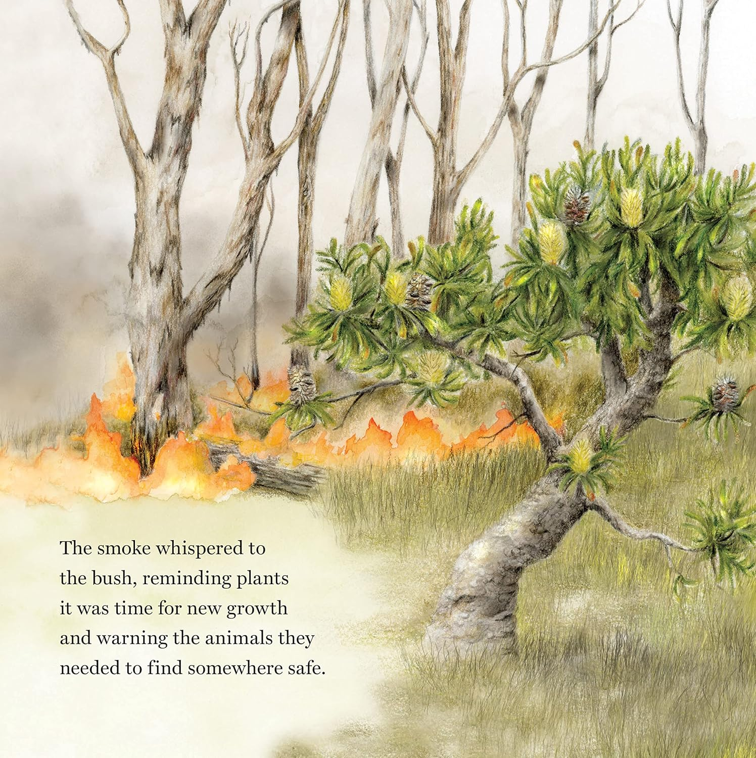 Alight: a Story of Fire and Nature image number 5