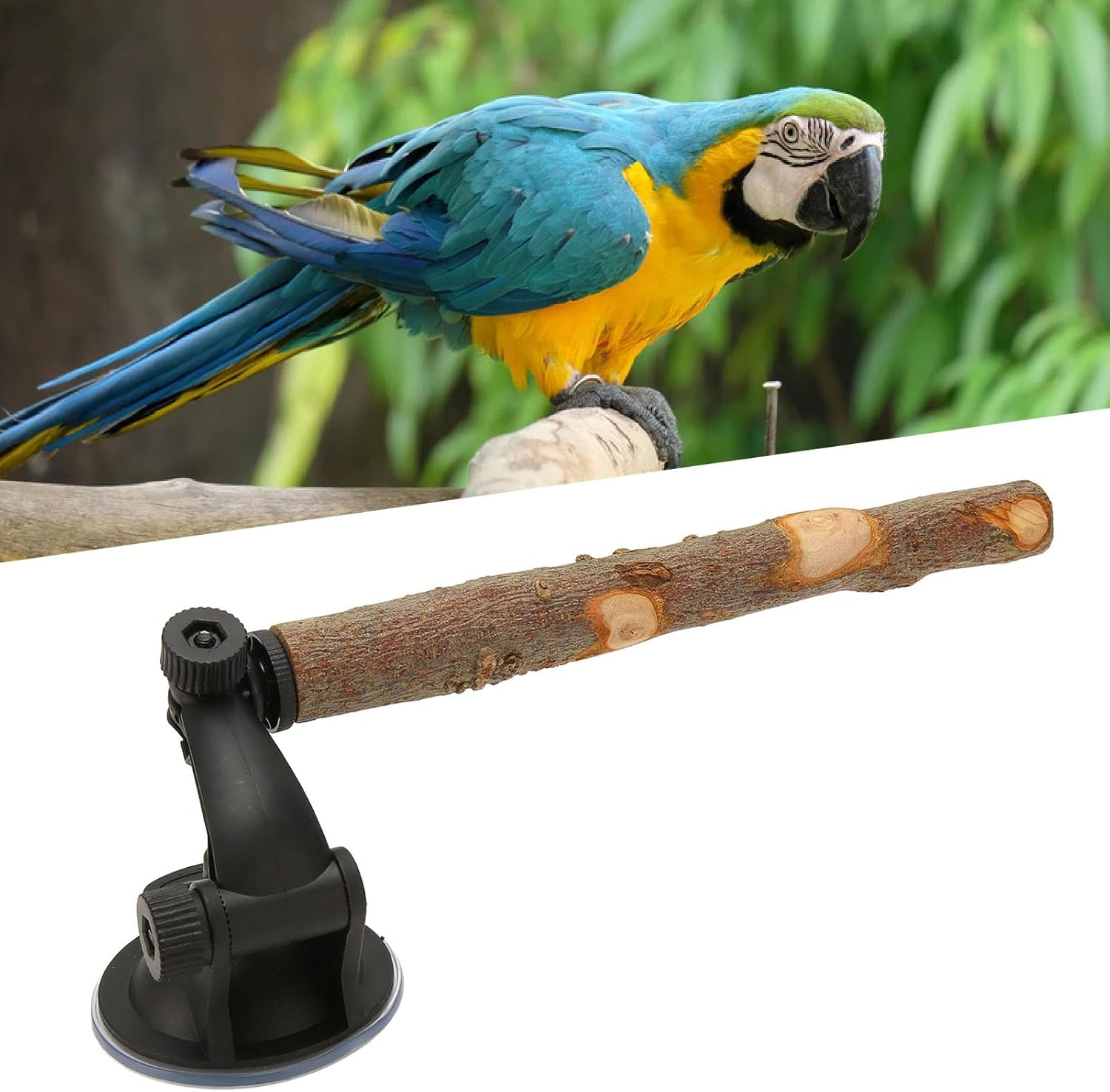 Tnfeeon Bird Standing Stick Adjustable Window Perch Stand with Suction Cups for Small Medium Bird, Comfortable Non Slip Wood Perch for Budgies, Suitable for Tile and Glass Surfaces (15CM) image number 5