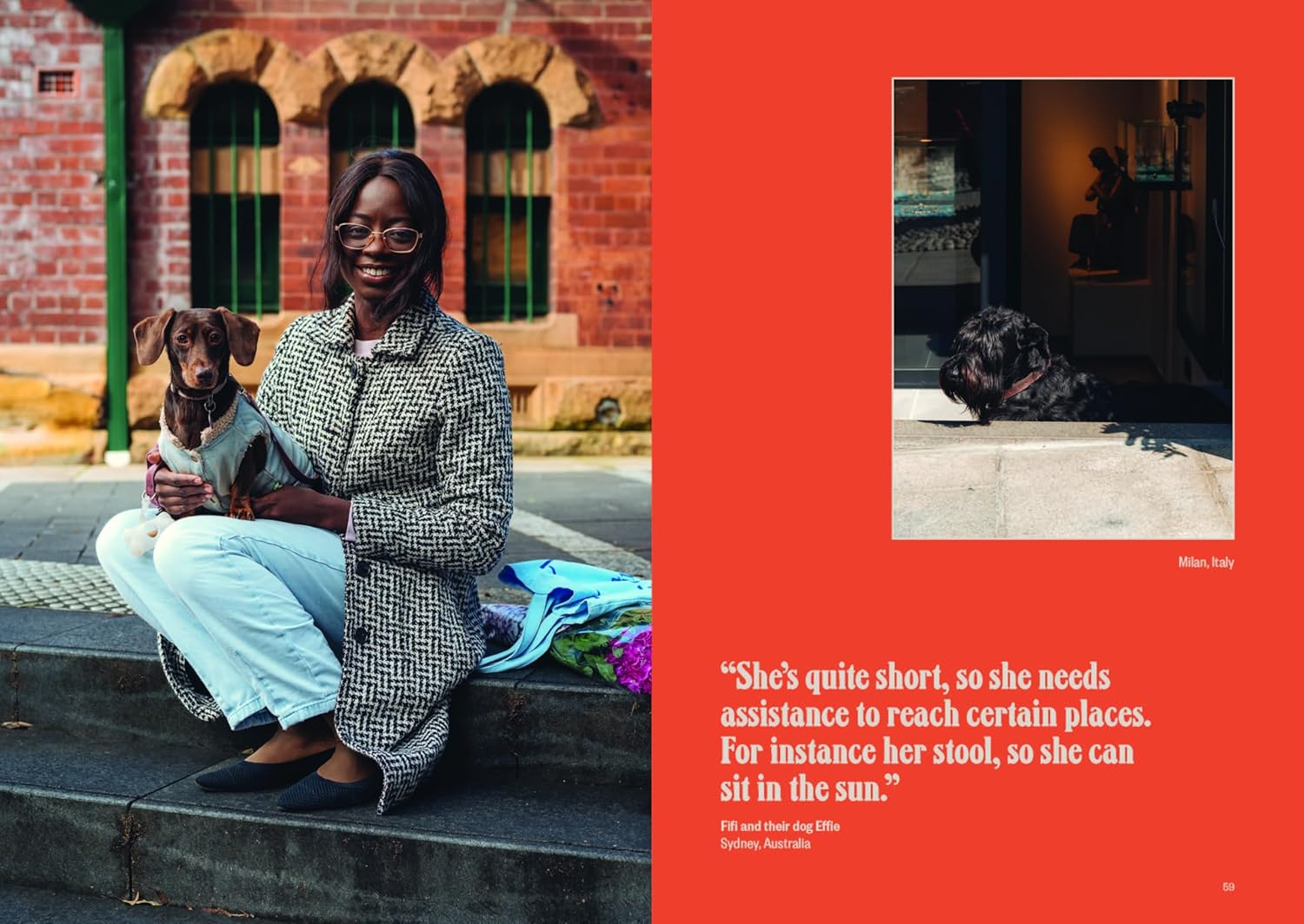 Dog&rsquo;S Best Friend: a Portrait of an Unbreakable Bond image number 1