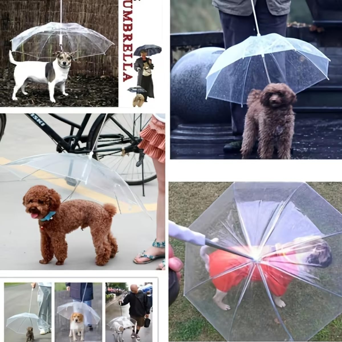 AIMALL Transparent Pet Umbrella for Dogs, Portable Anti-Rain Dog Walker, Stainless Steel Retractable Canopy, Ideal for Rainy Days, Durable and Lightweight Design image number 3