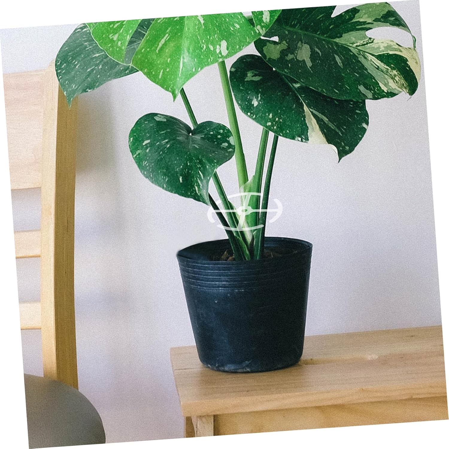 ORFOFE 4Pcs Plant Stem Holders for Indoor Support Versatile Climbing Support for Flowers and Bonsai Easy Installation Acrylic Stems Holder for Indoor Gardening image number 3