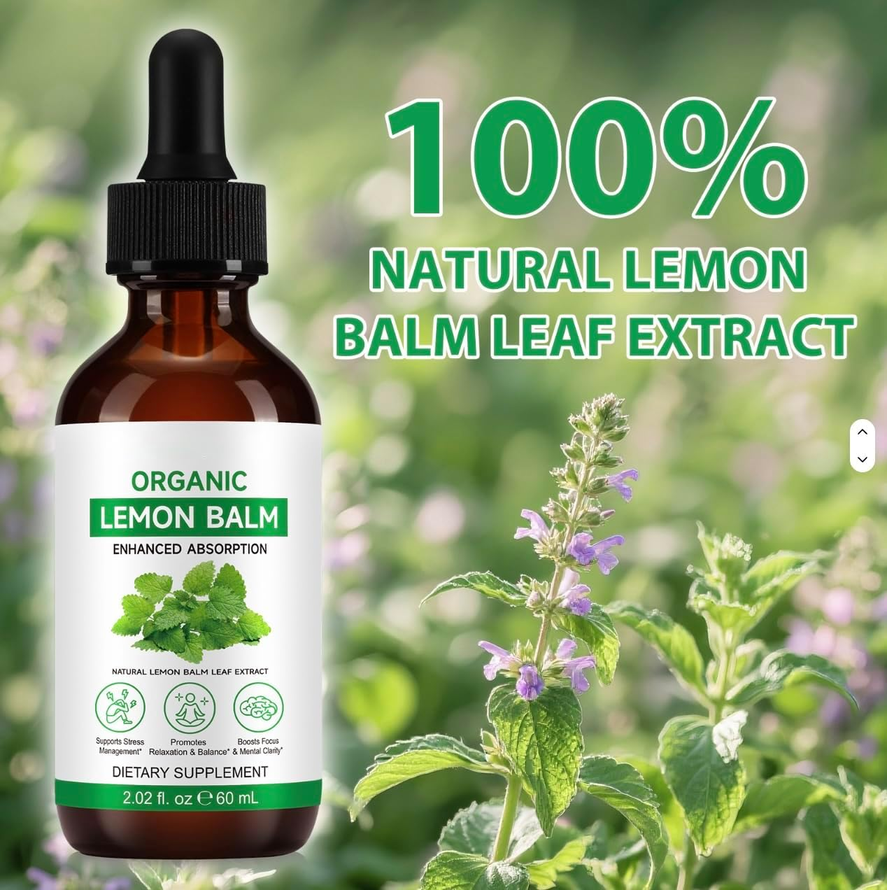 Lemon Balm Liquid Extract 60Ml &ndash; Organic & Alcohol-Free Tincture &ndash; Natural Lemon Balm Leaf &ndash; Vegan, Non-Gmo Herbal Supplement &ndash; Daily Wellness Support