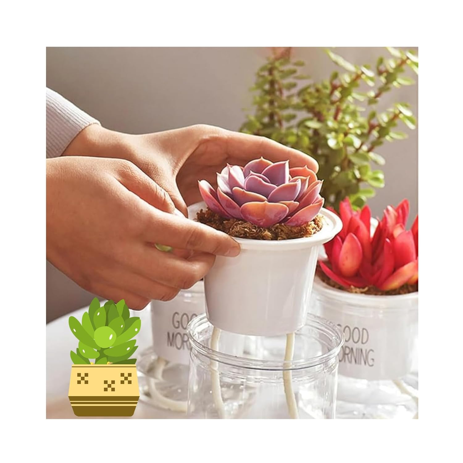 2Pack Self Watering Wick Cord 4Mm Automatic Watering Plant Wicks for Hydroponic Systems, Self-Watering Pot Insert for Indoor Outdoor Garden Use Ideal for Orchids Tomatoes Plant (130 Ft) image number 1