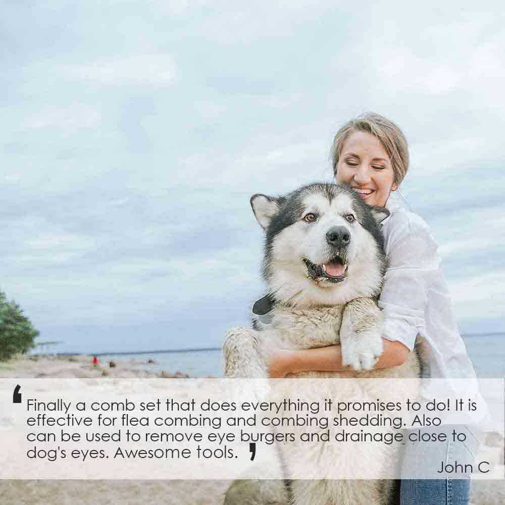 2 Pack Flea Lice Comb, Stainless Steel Dog Cat Grooming Combs with Rounded Teeth, Professional Pet Tear Stain Remover, Dematting Tool for Small, Medium & Large Pets image number 1