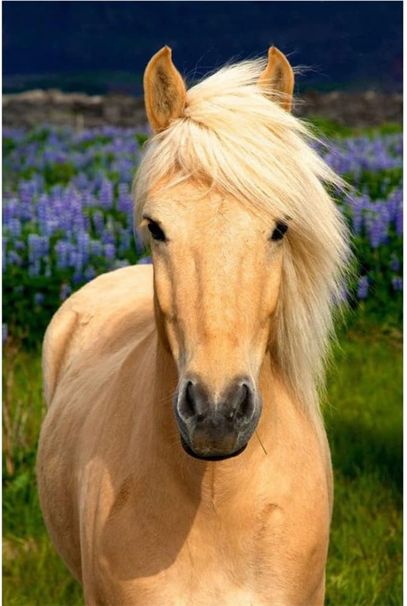 Diamond Painting Kits with Tools, Meecaa Horse Animal DIY 5D Full Drill Cross Stitch Diamond Mosaic Art Crafts 30X40Cm (Horse) image number 6