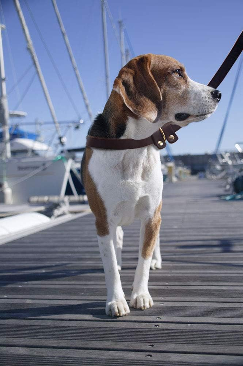 Wellbro Real Leather Slip Lead Dog Leash, Soft Adjustable Pet Slip Leads with Slider, Heavy Duty Flat Dog Training Leash for Medium and Large Dogs, 6Ft Long by 0.7 Inch Wide, Brown image number 4