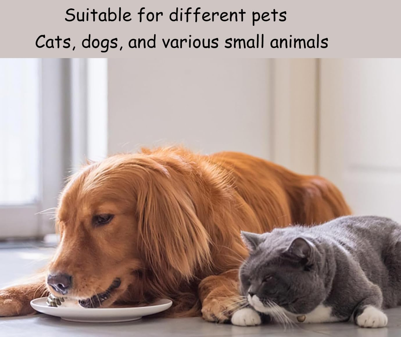 2-Piece Cat Bowls Black Raised Pet Bowl Prevent Neck Pain Feeding Wide Cat Bowl anti Vomiting Cat Feeding Plates with Non-Slip Mat and Cat Toy B image number 4