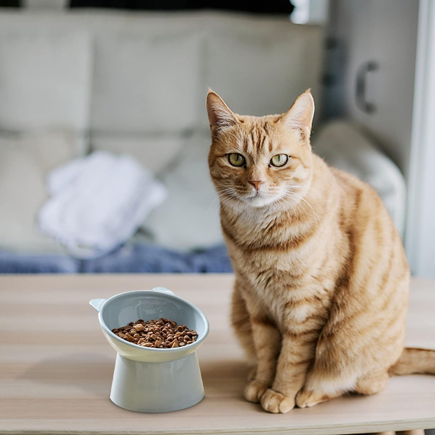 1Pc Tilted Elevated Cat Food Bowl,Anti Vomiting Cute Shallow Cat Bowl,Small Ceramic Raised Pet Bowl,Tilted Raised Food Bowl Anti-Vomiting image number 5