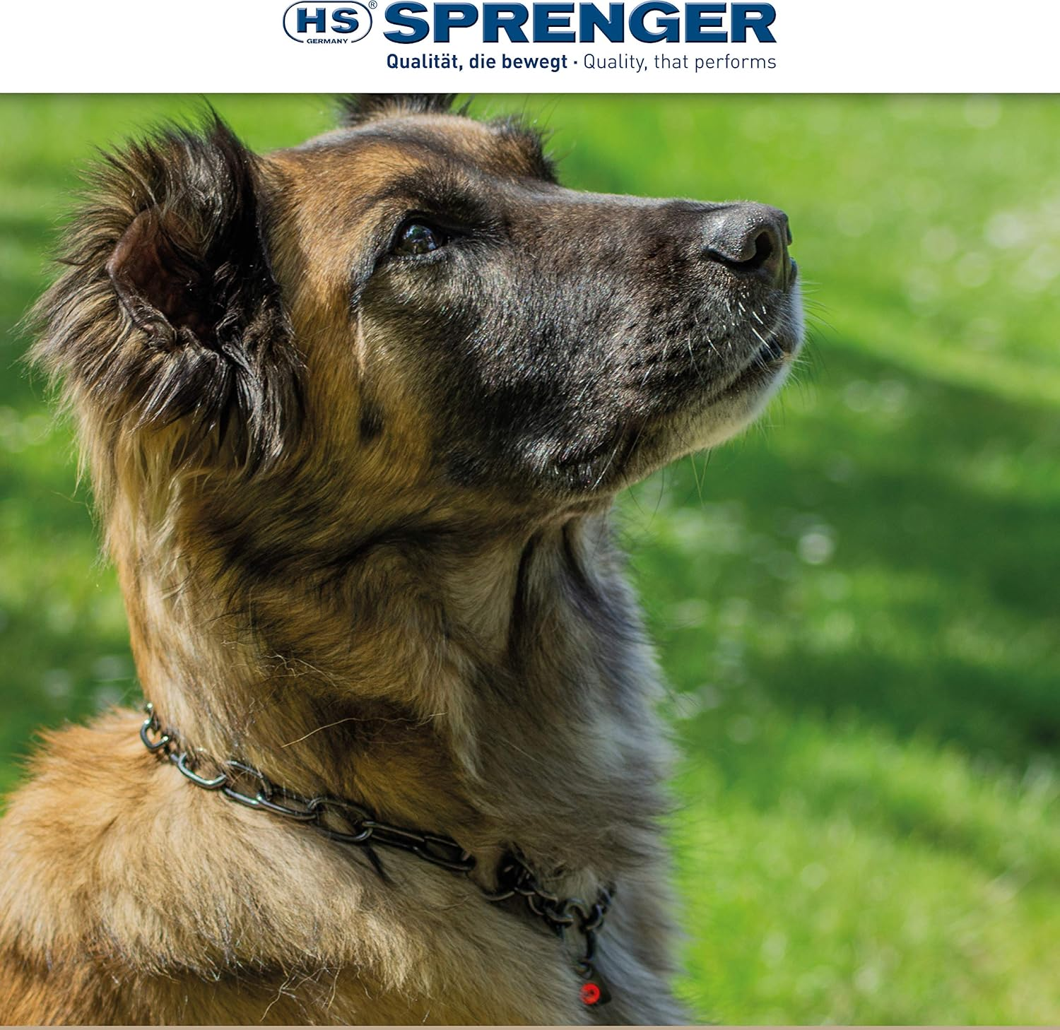 Herm Sprenger &ndash; Black Stainless Steel Fur Saver Dog Collar &ndash; Medium Link &ndash; Professional Training Collar &ndash; Assembly Chain &ndash; Correction Slip Chain &ndash; Made in Germany (22 Inches (55 Cm)) image number 3