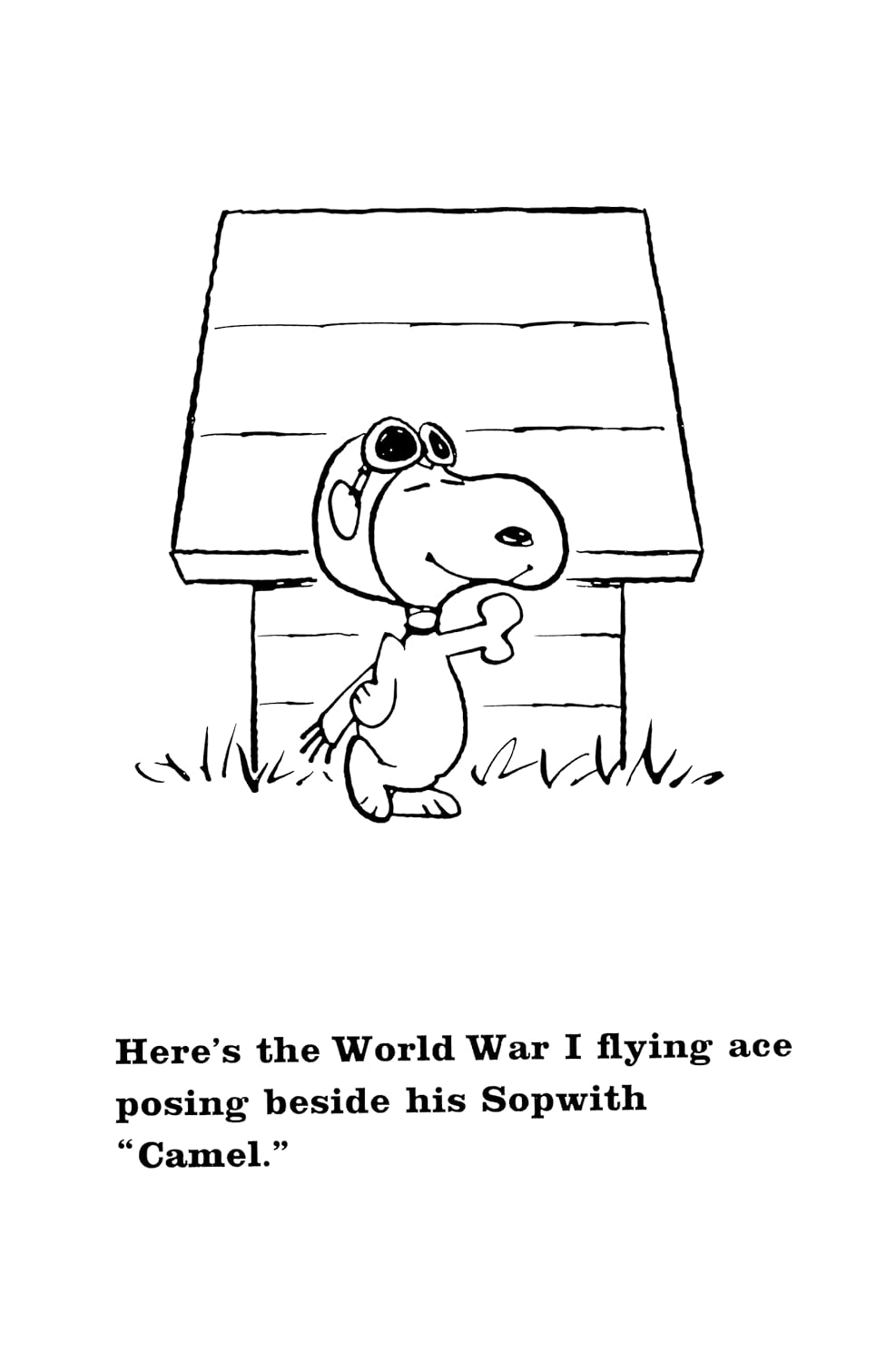 Peanuts: Snoopy and the Red Baron image number 5