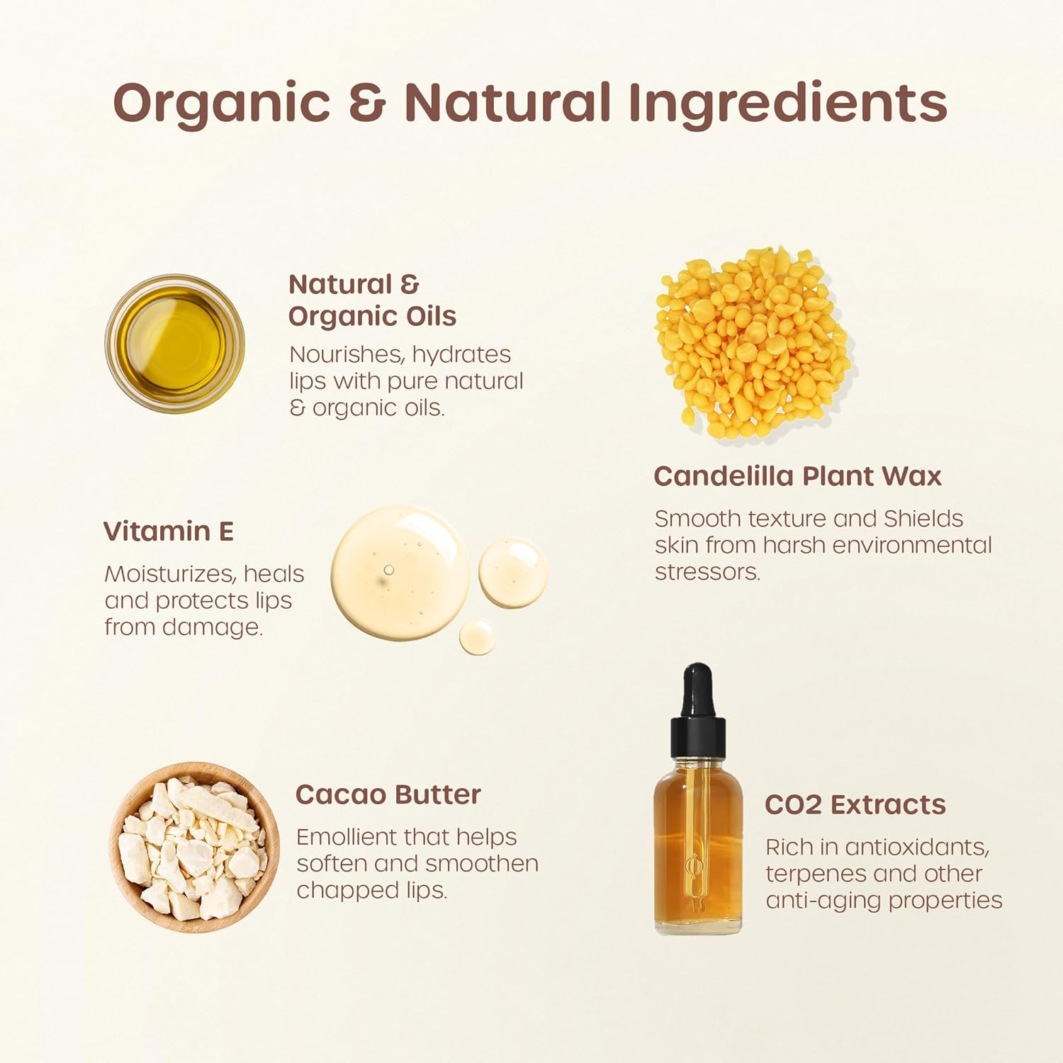 ILIKA Lip Balm Organic, Plastic-Free, 100% Plant-Based, COSMOS Certified Organic, PETA Certified Vegan & Cruelty-Free, Biodegradable Tube, All-Day Moisture (4 Pack, Essential Collection) image number 3