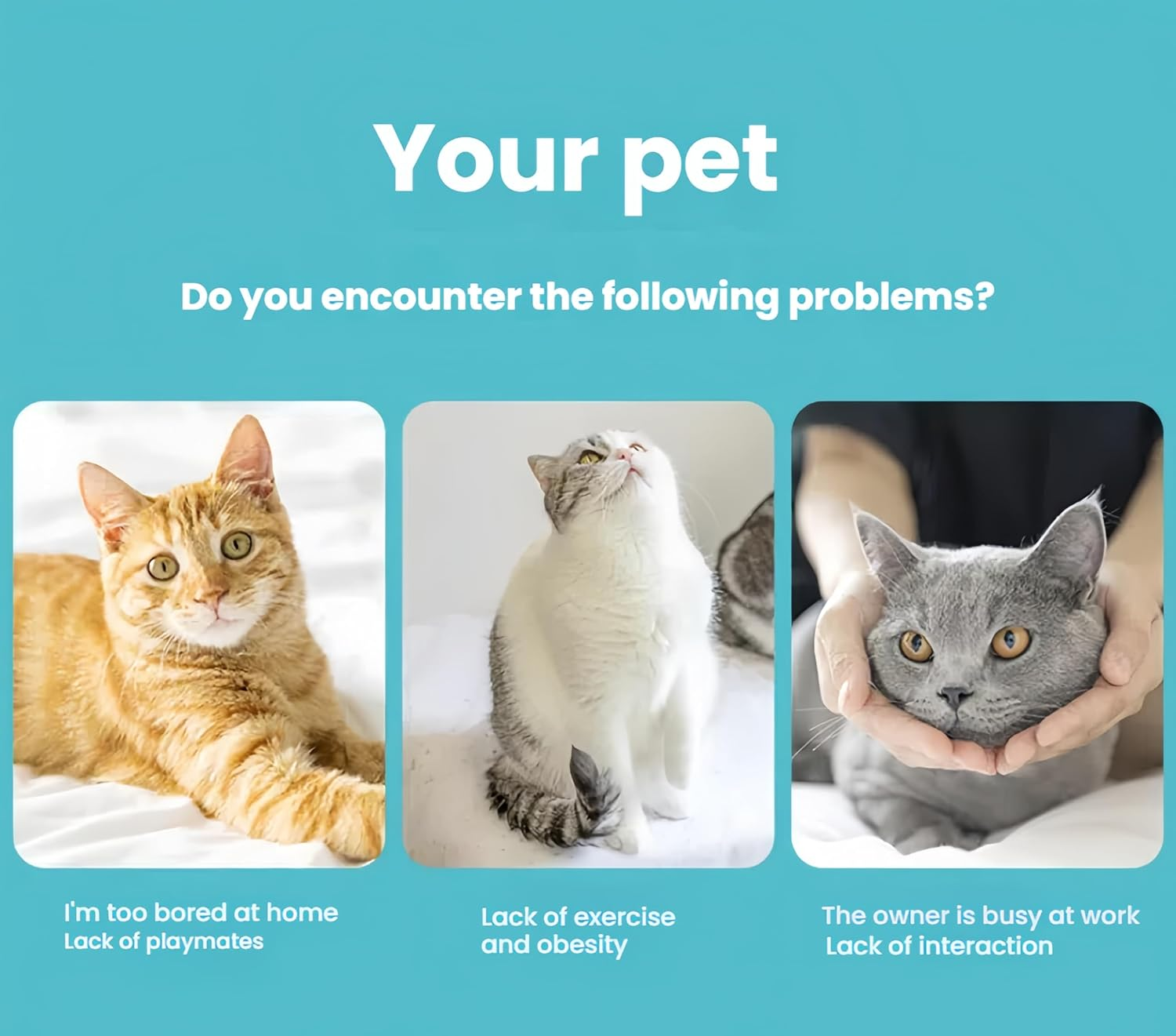 ELECLAND Cat Tunnel for Indoor Cats Large, with Play Ball S-Shape 5 Way Collapsible Interactive Peek Hole Pet Tube Toys, Puppy, Kitty, Kitten, Rabbit (Blue & Black) image number 1