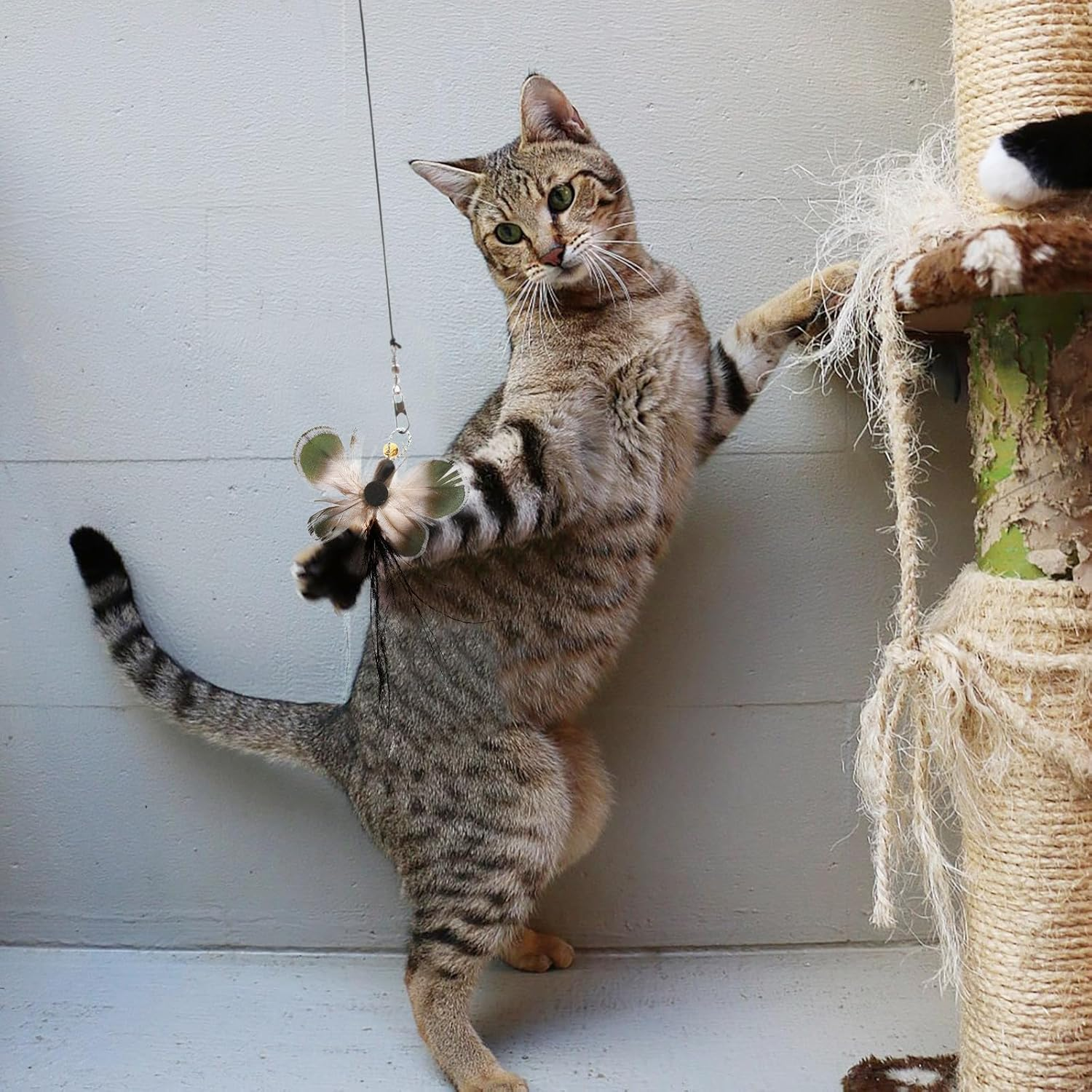 DOITOOL Replacement Head for Cat Teaser, Cat Toy for Home Cats, Cat Mouse Toy, Refill Packs for Cat Magic Sticks, Stick, Replacement, Insect, Kittens, Plastic, Pack of 6