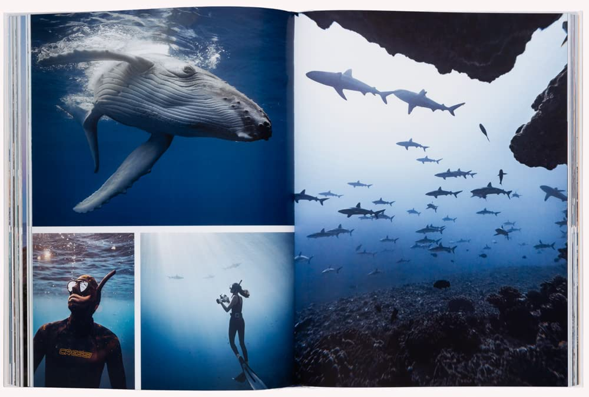 Boatlife: Exploring the Freedom of Maritime Living image number 5