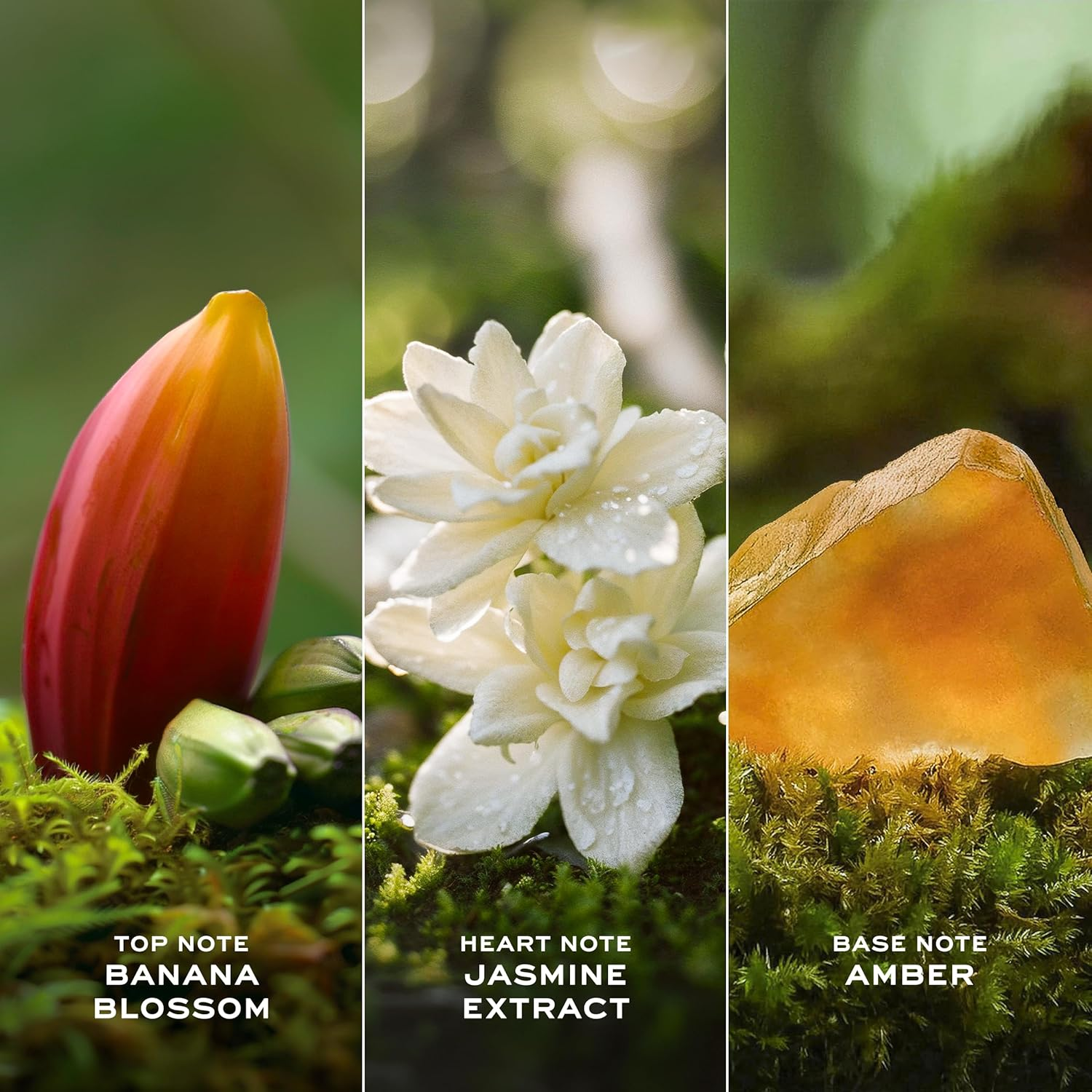 Marc Jacobs Daisy Wild Intense Eau De Parfum for Women 30 Ml image number 1