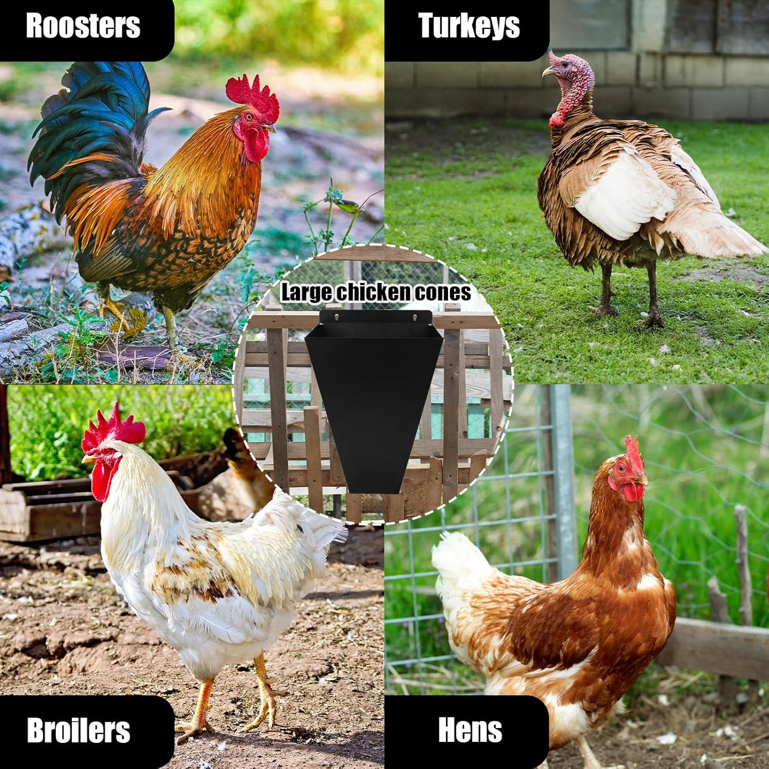 BOXOB Large Size Chicken Cone, Metal Flat-Back Chicken Killing Cone Processing Equipment Heavy Duty Poultry Restraining Cones for Turkeys Cornish Cross Ducks Geese up to 18 Lbs image number 5