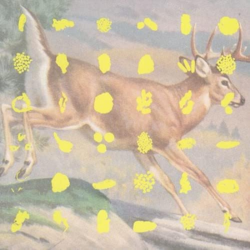 Fields Streams Various