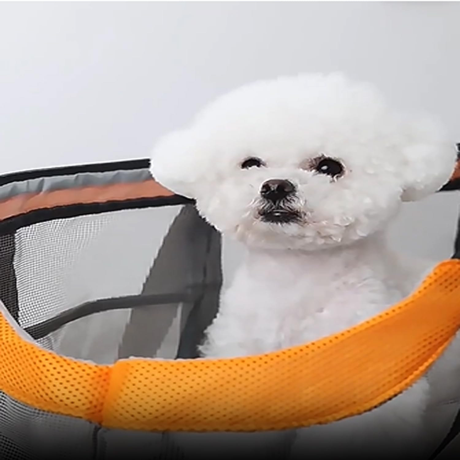 Coehaopike Large Capacity Pet Carrier&ndash;Breathable Mesh Portable Dog Bag, Adjustable Shoulder Strap, Safety Buckle, Foldable, Easy to Clean, 14.96X12.2In Inches(Gray Orange)